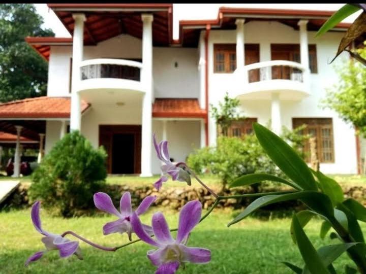 Hotel Blue Point Rest Tangalle Exterior foto